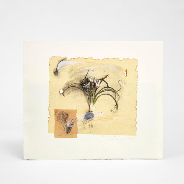Specimen Series -SP-F Ⅺ B- – KON-KON Art Shop