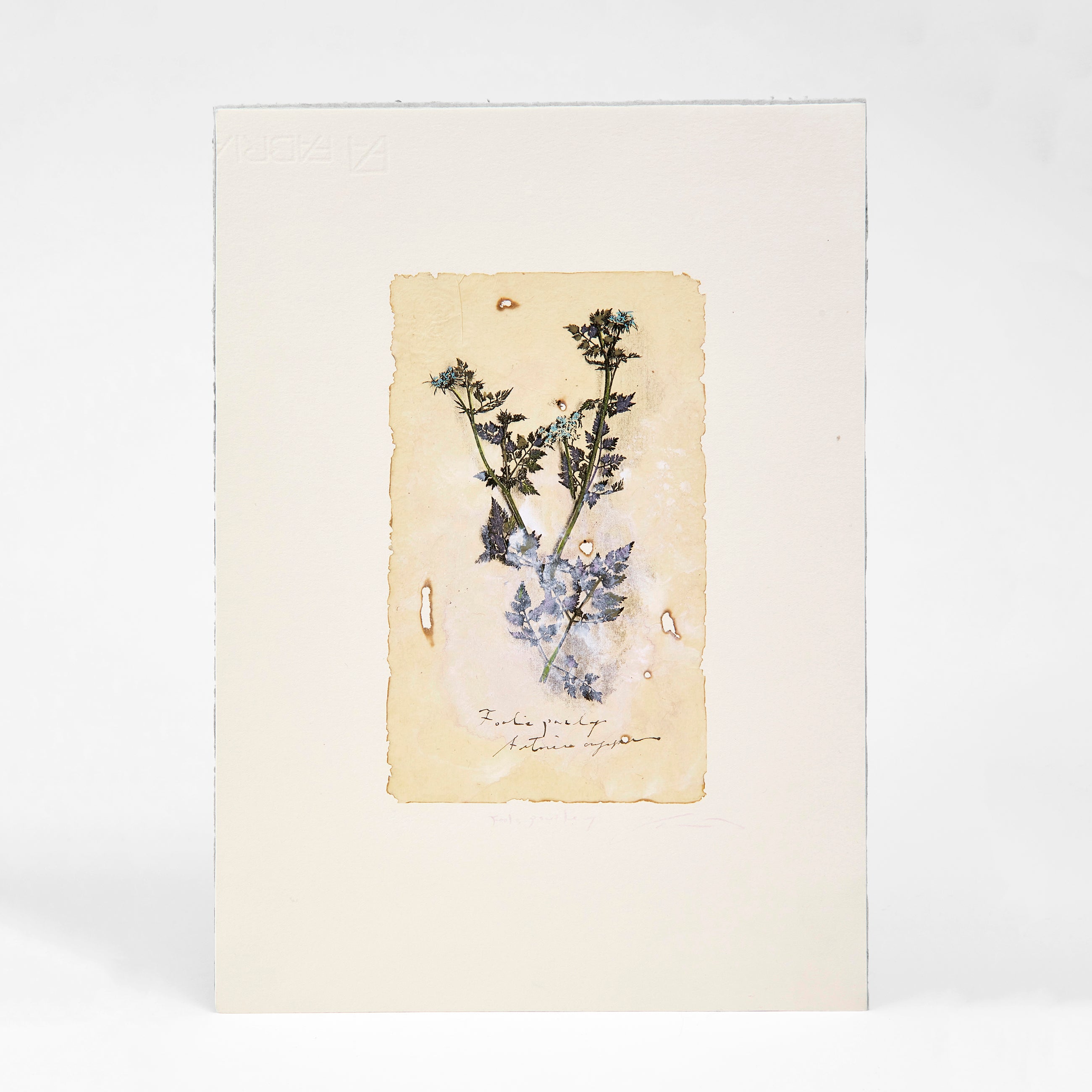 藤浪理恵子 作品 藤浪理恵子 Rieko Fujinami – KON-KON Art Shop